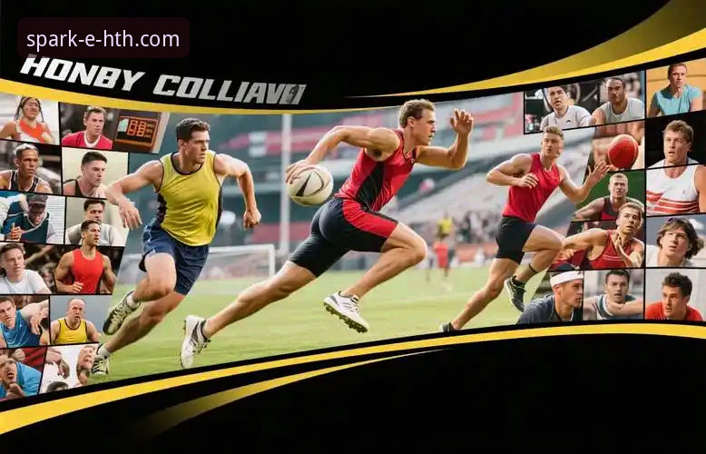 HTH华体会体育APP官方下载与使用完整指南